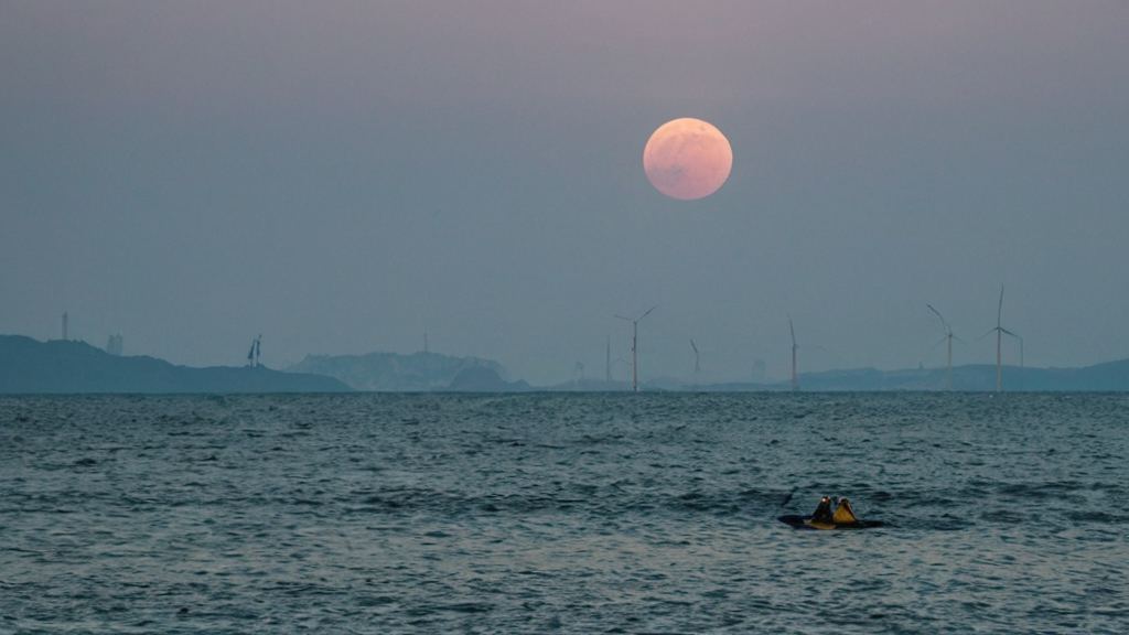 画面中一位明星徐璐水中精灵写真曝光,肤如凝脂引发热议