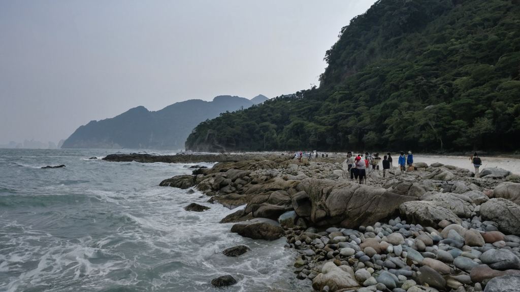 我们都在期待着这位明星早日康复力以赴地救治的医院引领科技潮流的国产12P成为了市