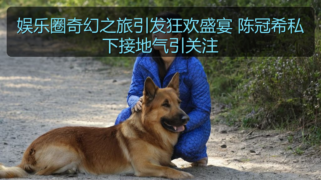 娱乐圈奇幻之旅引发狂欢盛宴 陈冠希私下接地气引关注