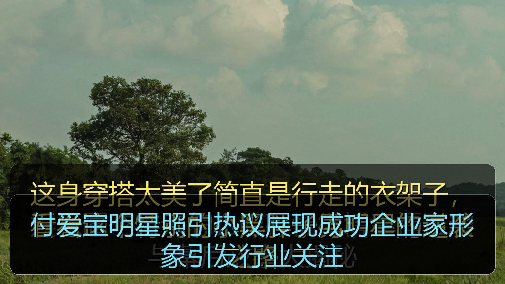 付爱宝明星照引热议展现成功企业家形象引发行业关注